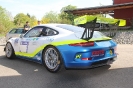 Porsche 991 GT3 Cup